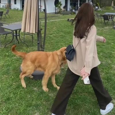 虚颜